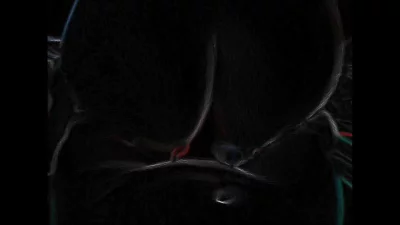 母狗—全自动榨汁机