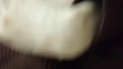 到兄弟家玩他出去买东西我和他老婆趁机偷情对白精彩